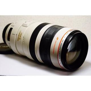 Canon キヤノン EF100-400mm F4.5-5.6 USM