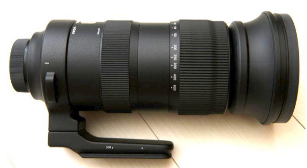 SIGMA シグマ 60-600mm Sports ニコン