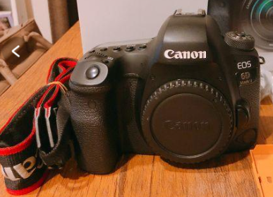 キヤノン Canon EOS 6D Mark Ⅱ ボディ