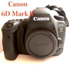 キヤノン Canon EOS 6D markⅡ ボディ