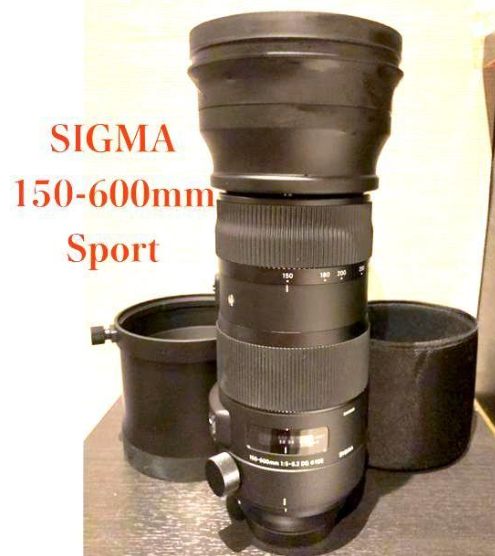 シグマ SIGMA 150-600mm OS Sport Canon 用